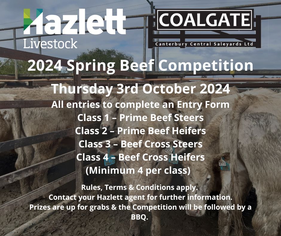 Canterbury Central Sale Yards Ltd